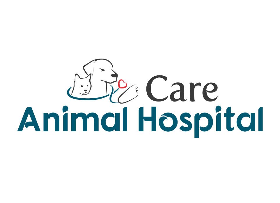 Care Animal Hospital Placeholder