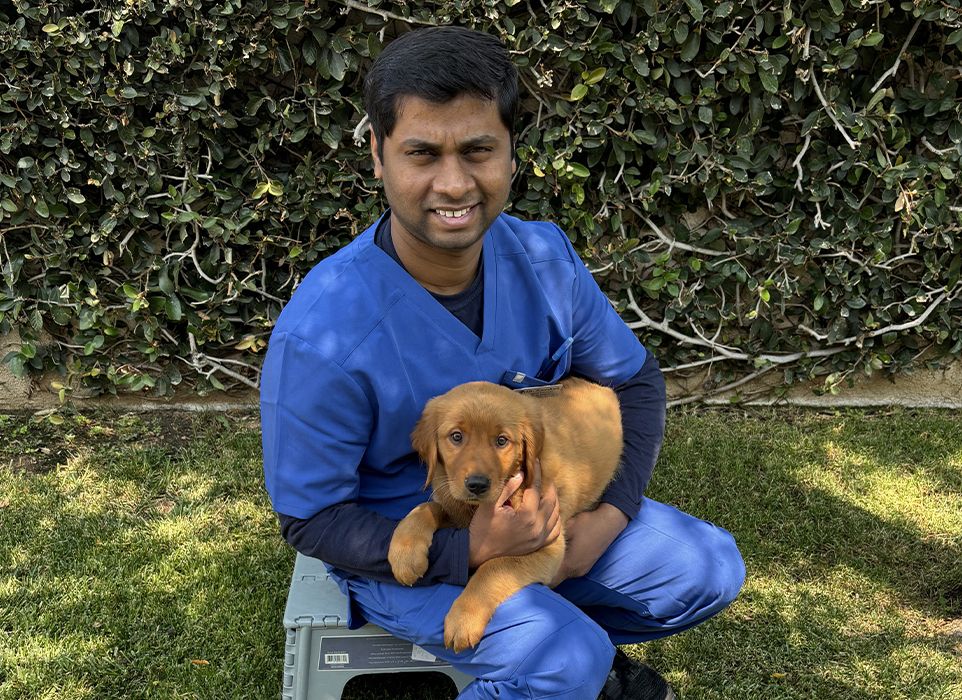 Dr. Koushiek