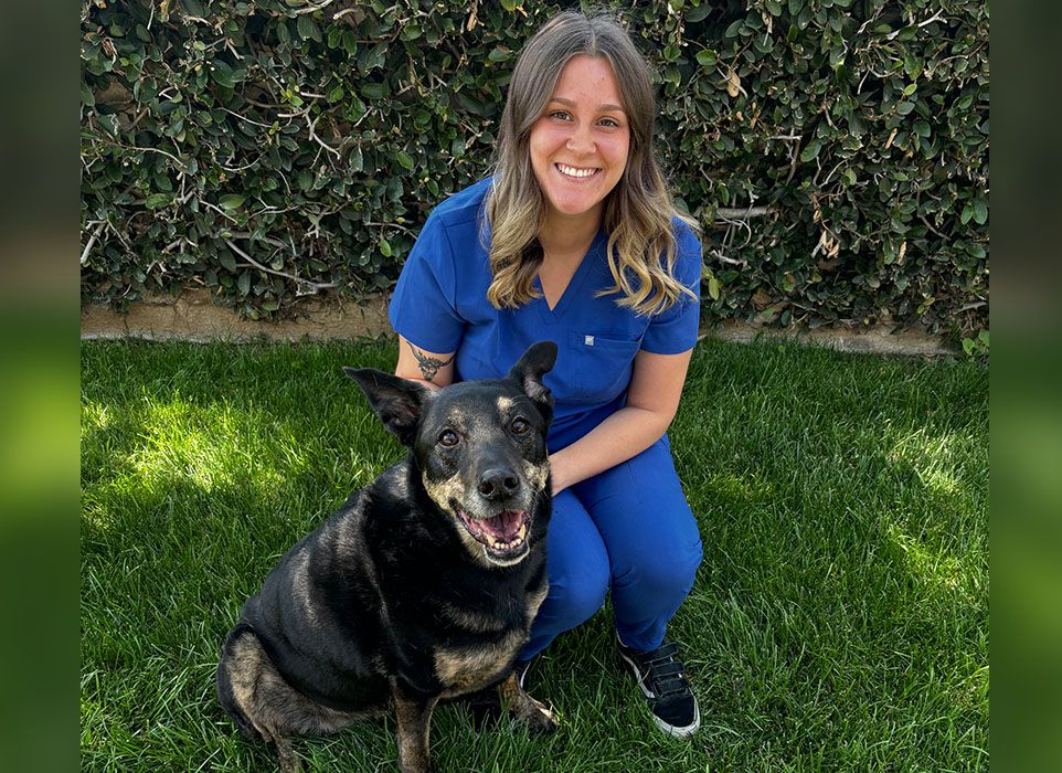 Melanie - Veterinary Technician Assistant