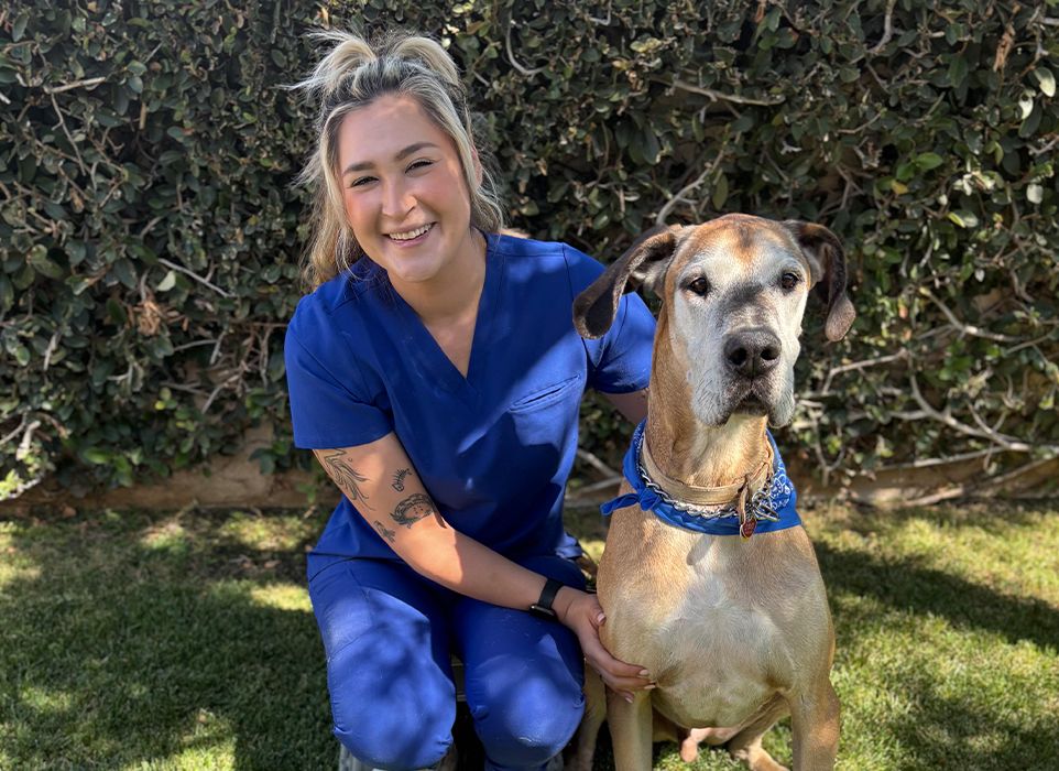 Vanessa Veterinary Technician Assistant