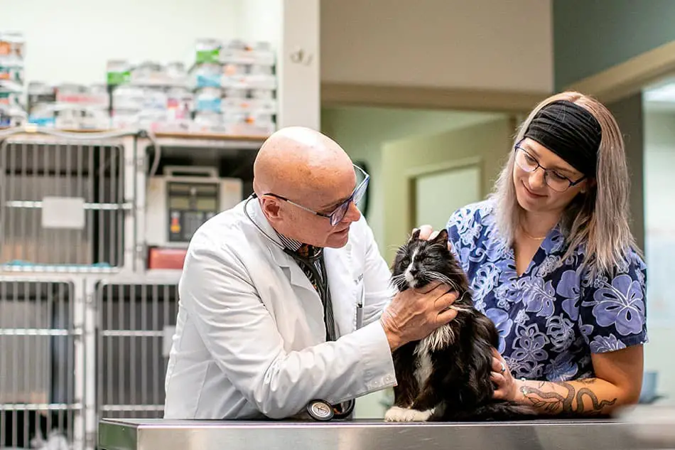Care Animal Hospital - Temecula CA Veterinarian Services
