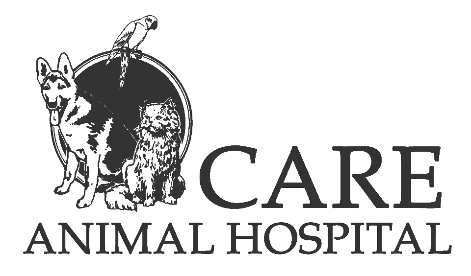 Care Animal Hospital - Temecula CA Veterinarian Services