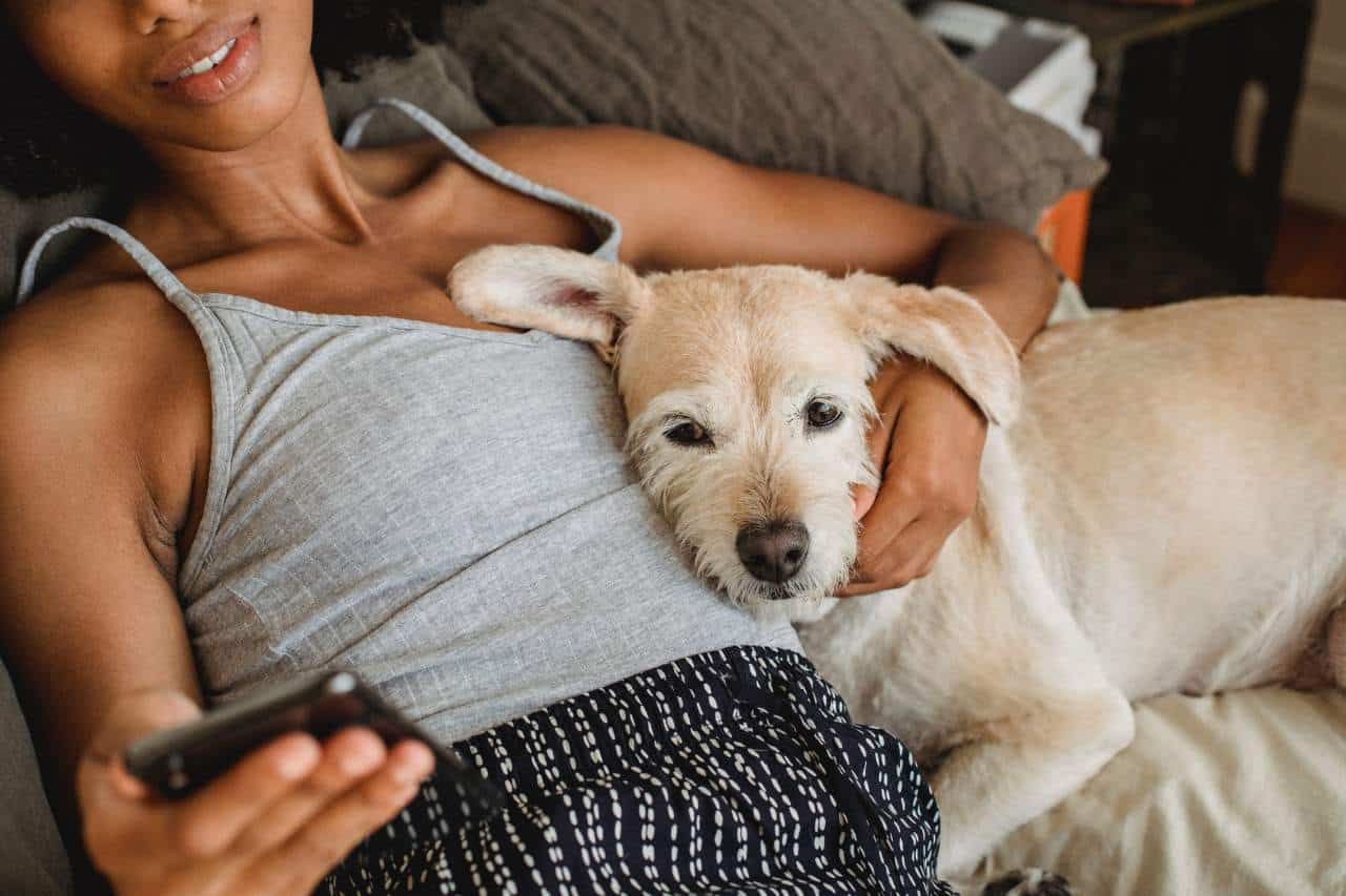 A dog lying in bed and leaning on a woman