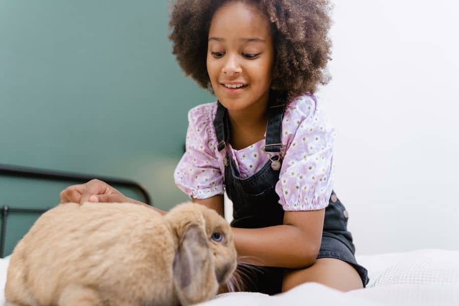 Little girl playing with a rabbit on her bed