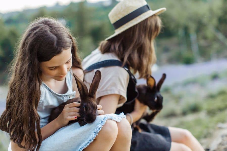 Little girls holding rabbits