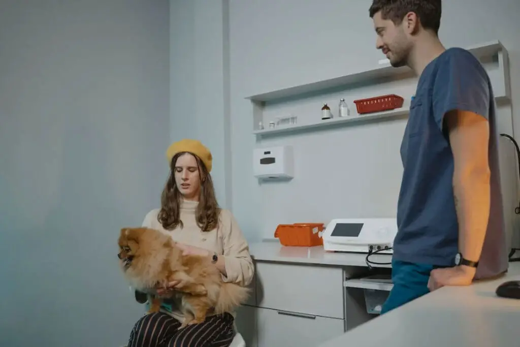 Brown pomeranian being held by its owner while she talks to a veterinarian