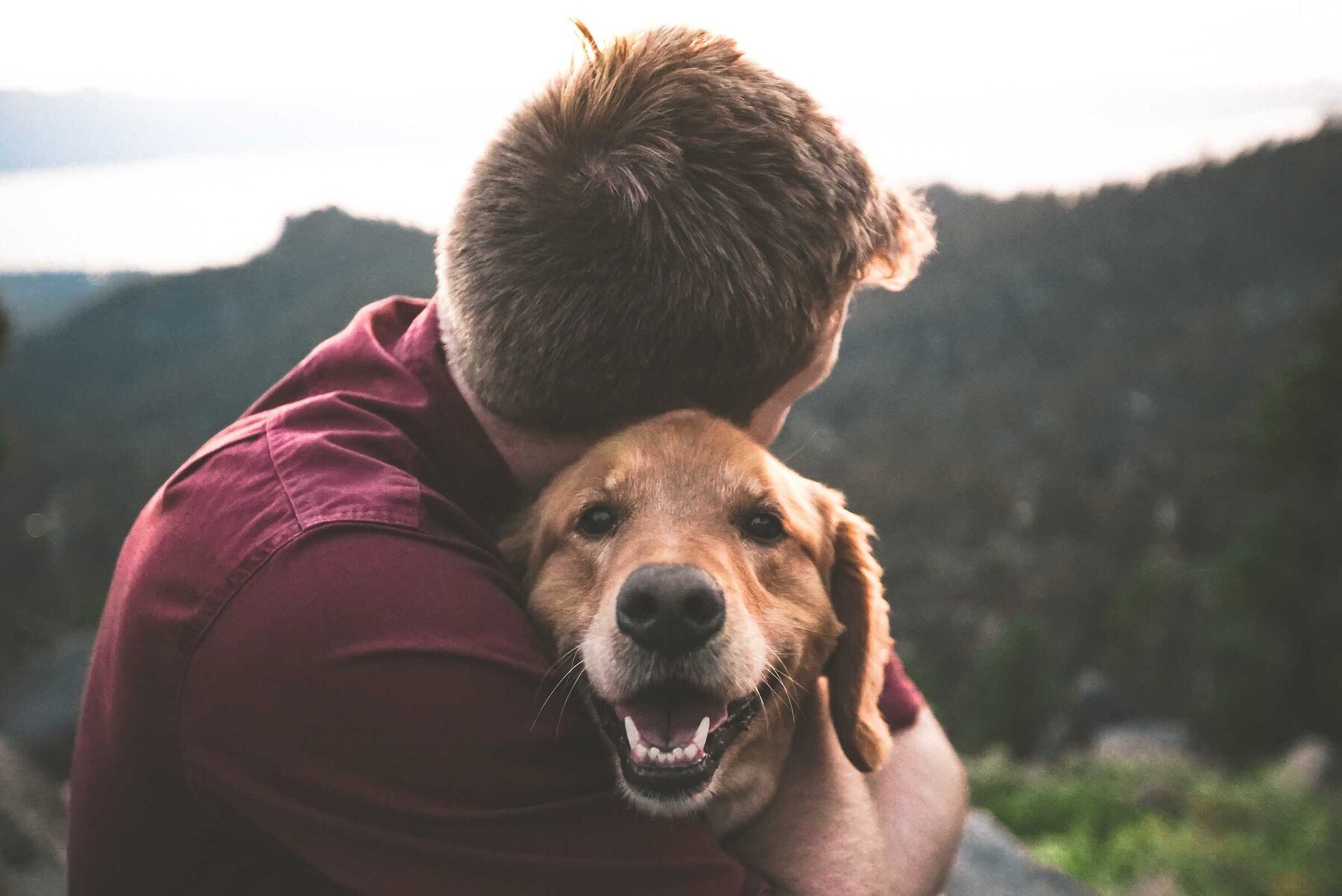 A man hugging a happy dog outdoors